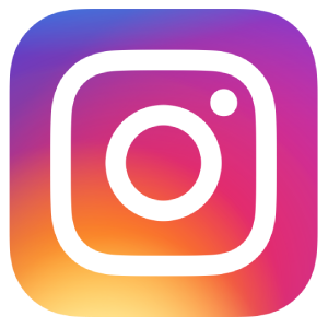 icon instagram saisons