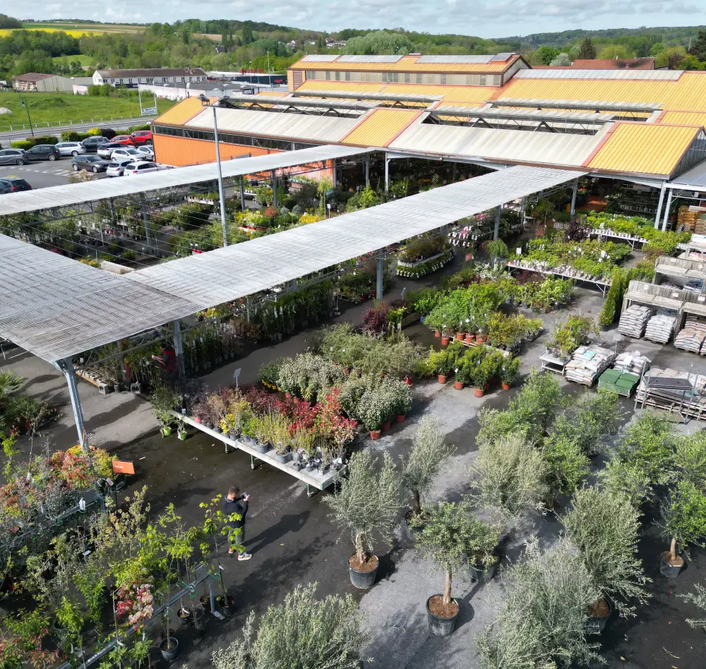 arbres 3exterieur saisons