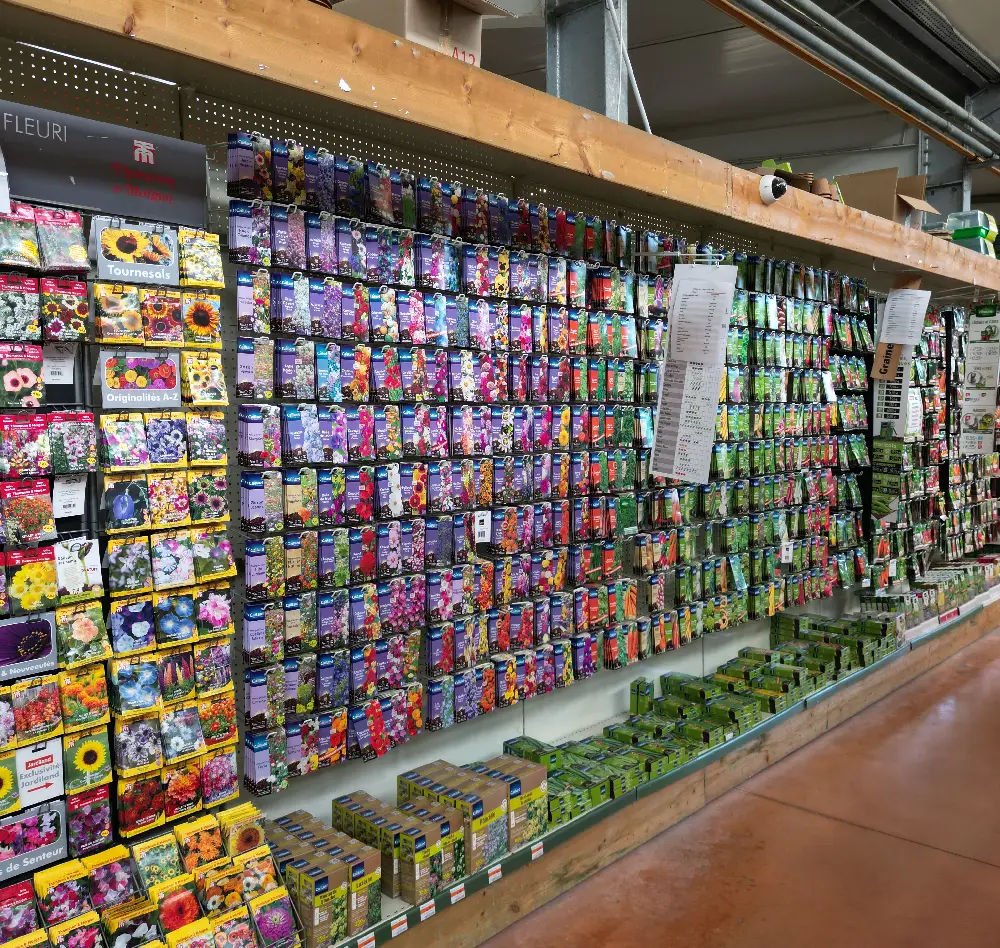 entretien 4 exterieur saisons