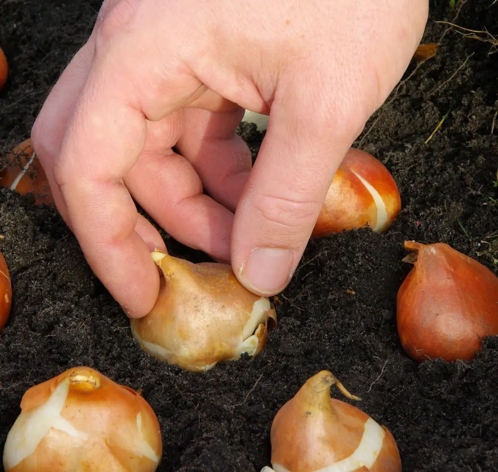 entretien 5 exterieur saisons