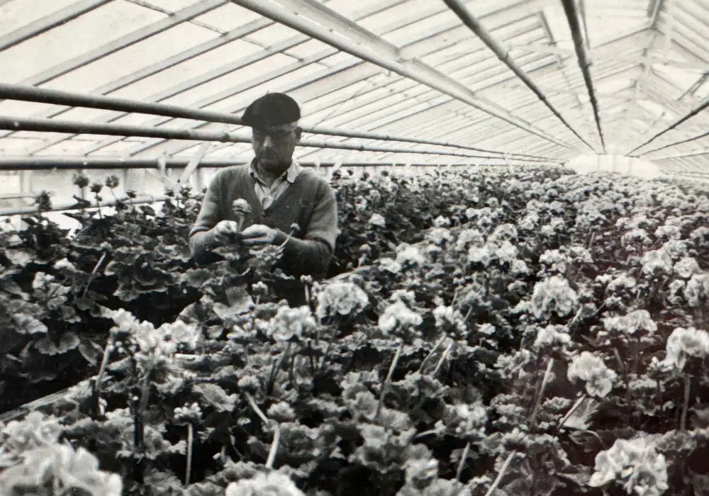 subheader historique2 saisons