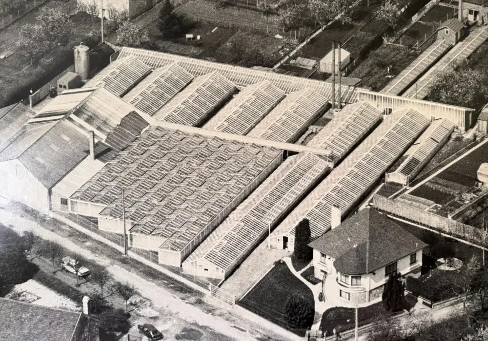 subheader historique3 saisons