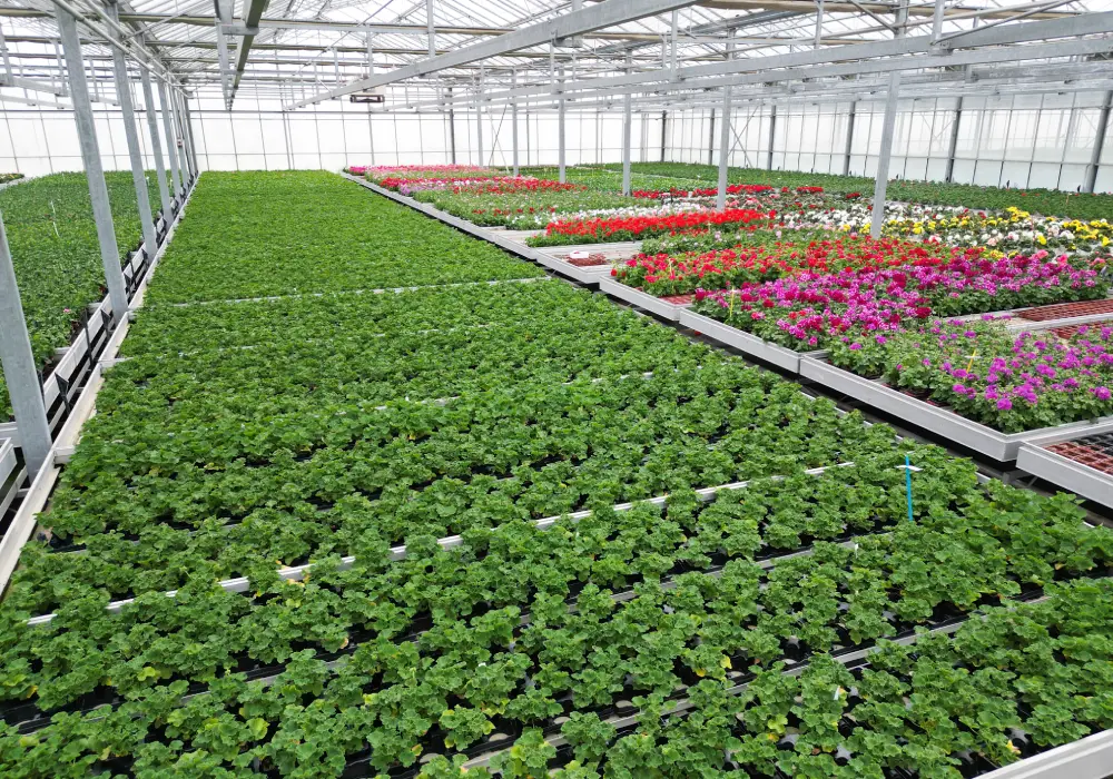 subheader production1 saisons