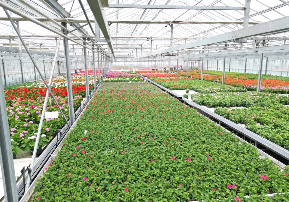 subheader production2 saisons