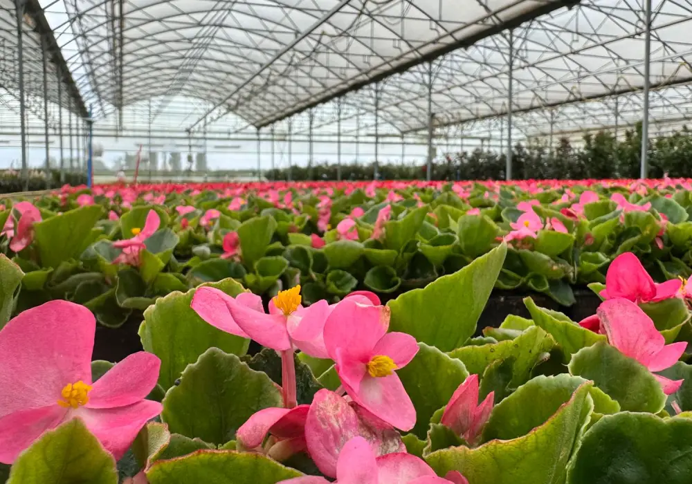 subheader production4 saisons