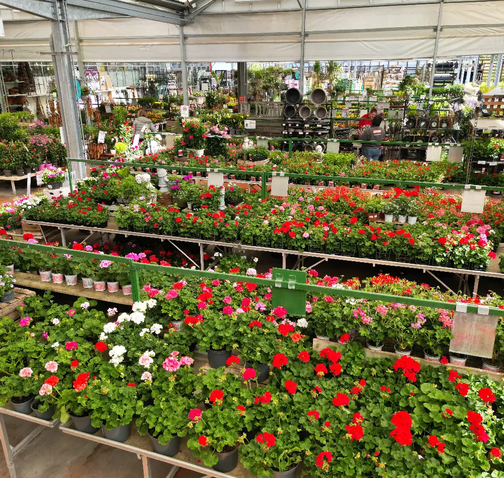 vivaces 2 exterieur saisons