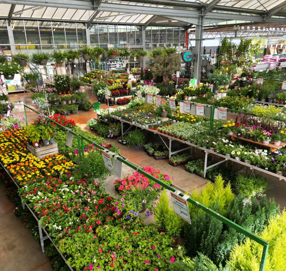 vivaces 3 exterieur saisons