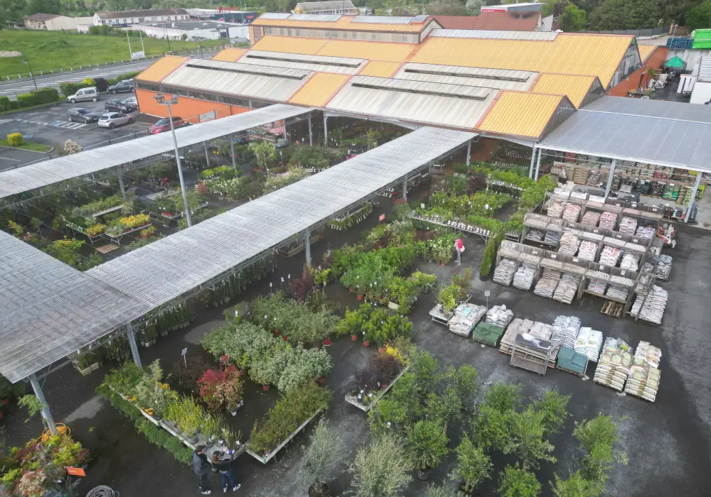 arbres1 3exterieur saisons