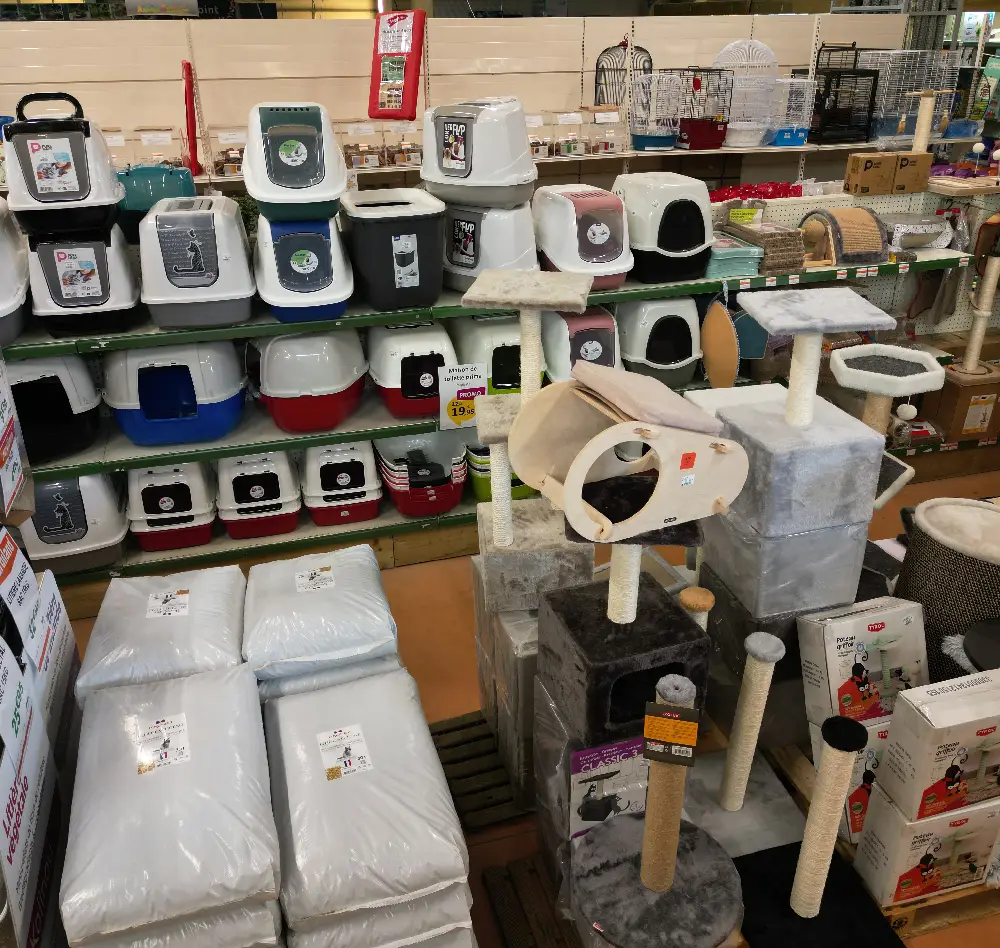 chat4 interieur saisons