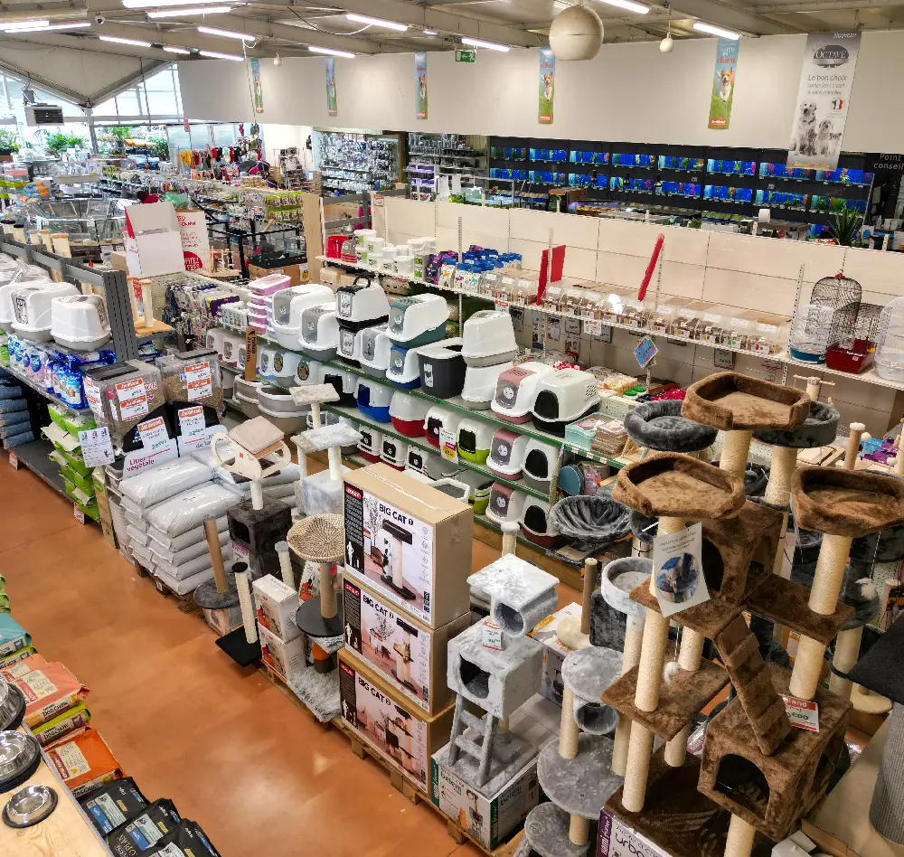 chat5 interieur saisons