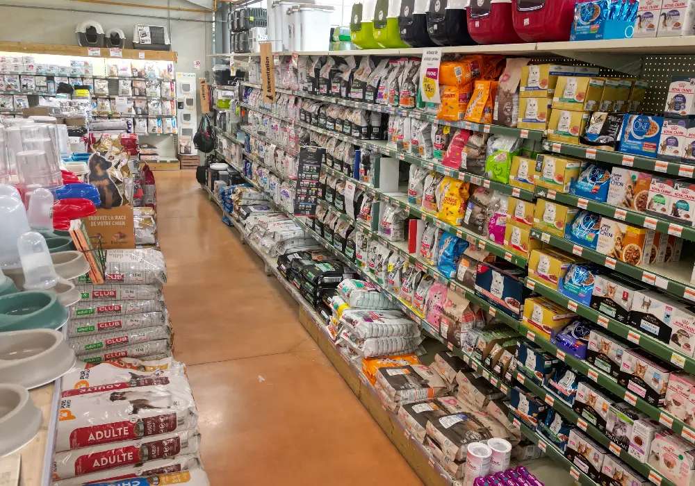 chien5 interieur saisons