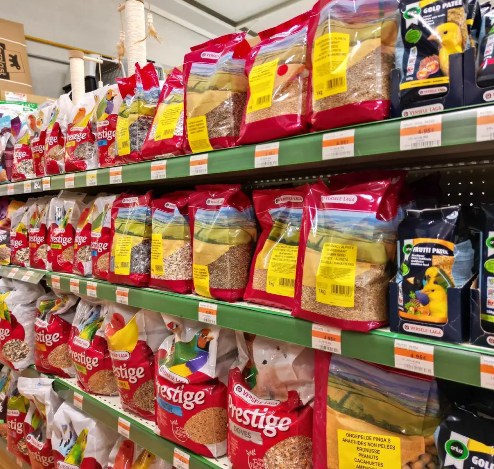 oiseau1 interieur saisons