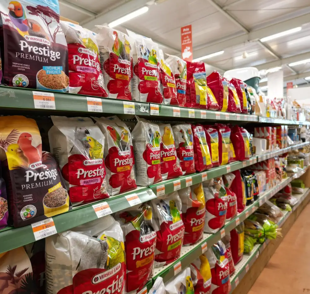 oiseau2 interieur saisons