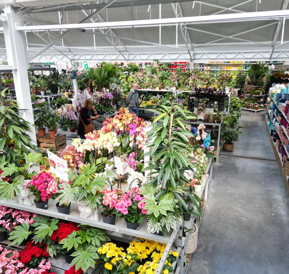 orchidees1 interieur saisons