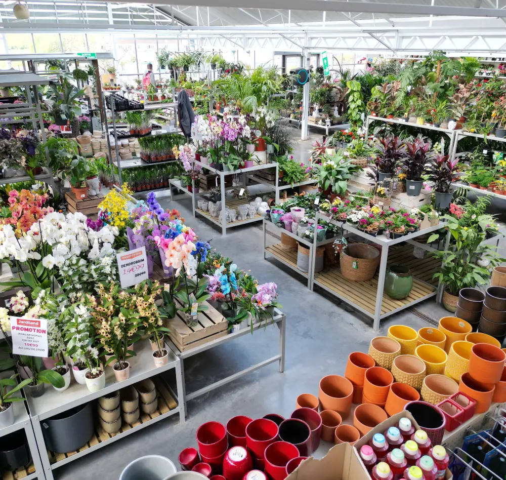 plantes vertes3 interieur saisons