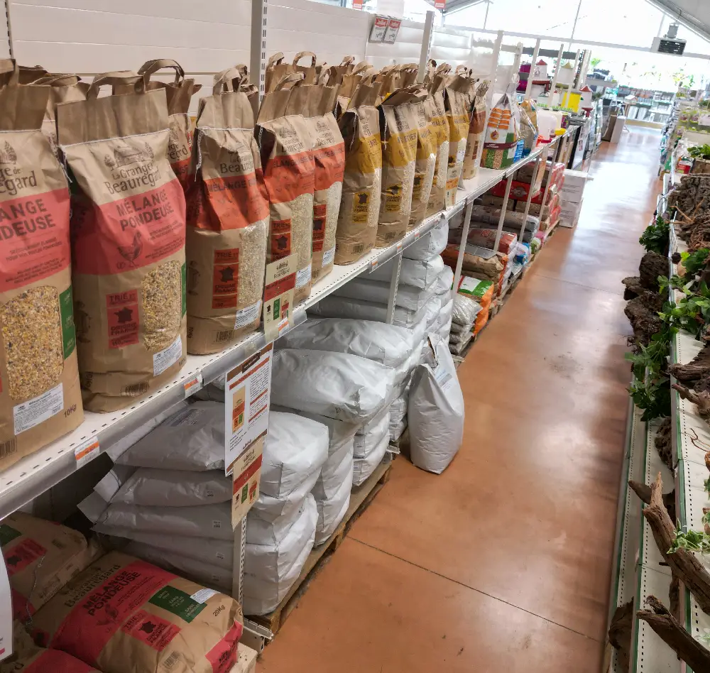 poule interieur saisons