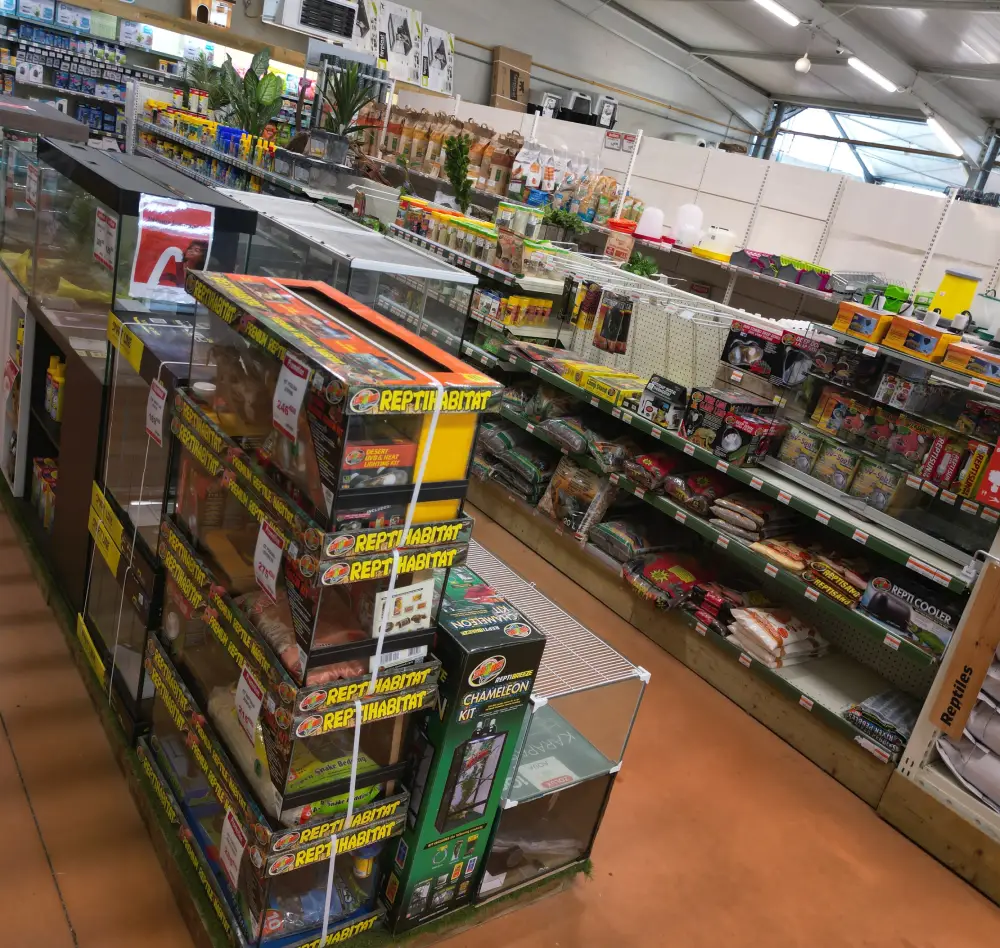 reptile1 interieur saisons