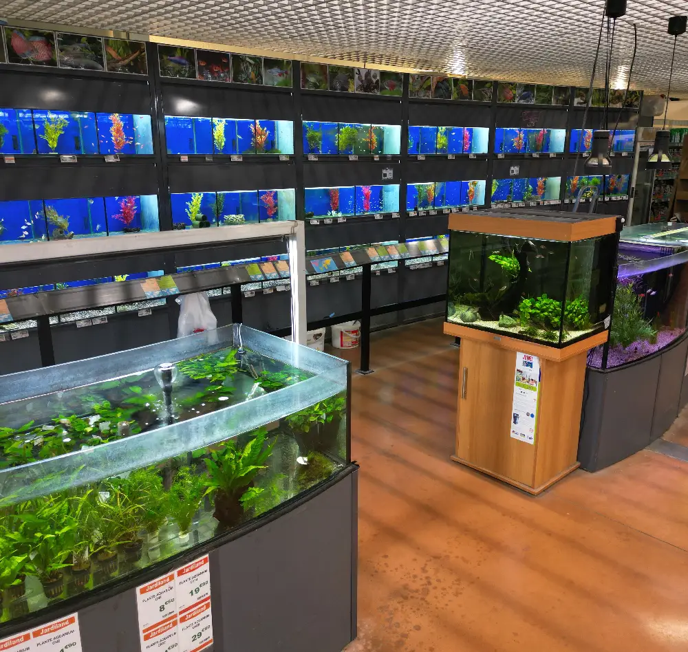 reptile4 interieur saisons