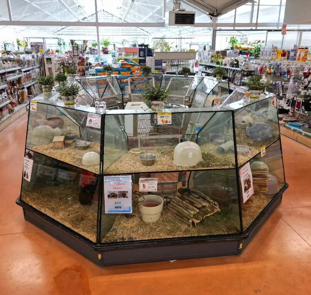 rongeur1 interieur saisons